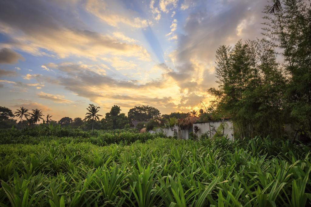 The Pandan Tree Villas Canggu Eksteriør bilde